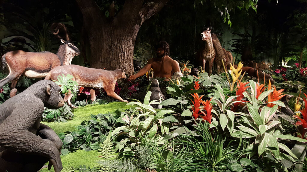 Delante del Texto Sagrado, la pregunta es: ¿cómo podemos tener la imagen de Dios si Él es Espíritu?