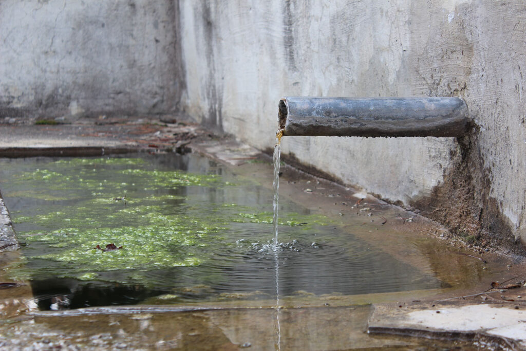 El Altísimo es cuidadoso con nosotros y diligentemente escudriña nuestro corazón cada instante, para alertarnos sobre los peligros.